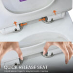 B BAGNO Water Closet Rimless - WC01