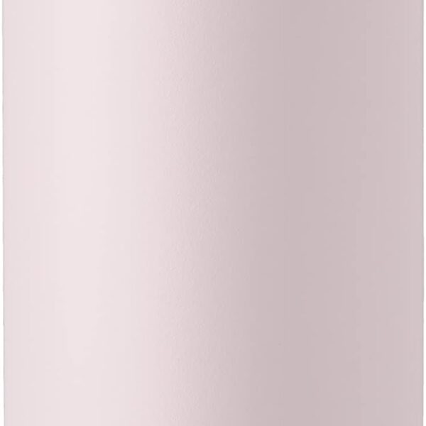 Owala FreeSip Insulated Stainless Steel Water Bottle with Straw for Sports and Travel, BPA-Free, 24oz, Dreamy Field