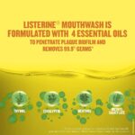 Listerine Original Mouthwash Liquid, Removes 99.9% Germs, 500ml (Pack of 1)