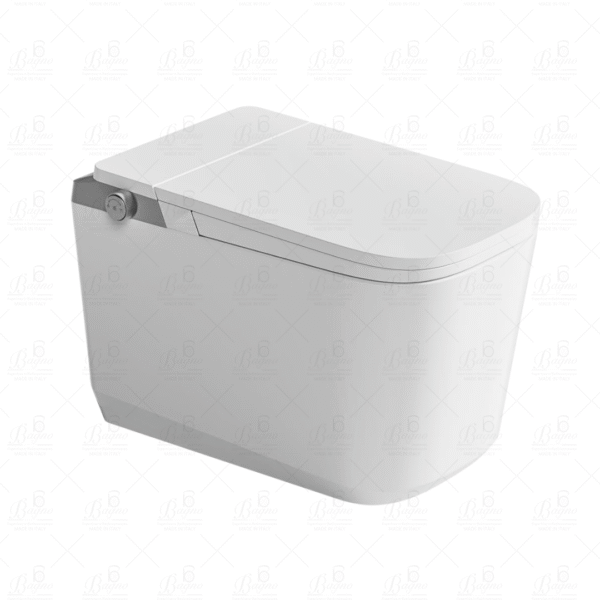 Floor-Mounted Smart Water Closet-SWC07