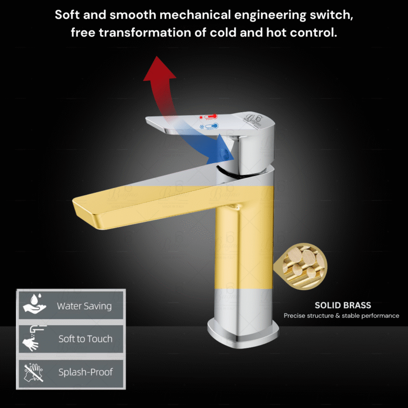 B BAGNO Premium Basin Faucet - Adeen Series A01